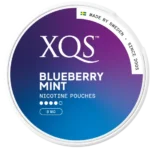 XQS Blueberry Mint