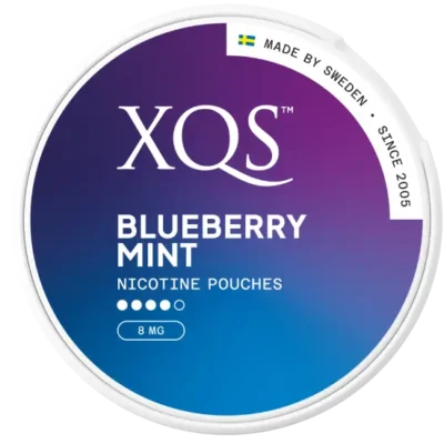 XQS Blueberry Mint